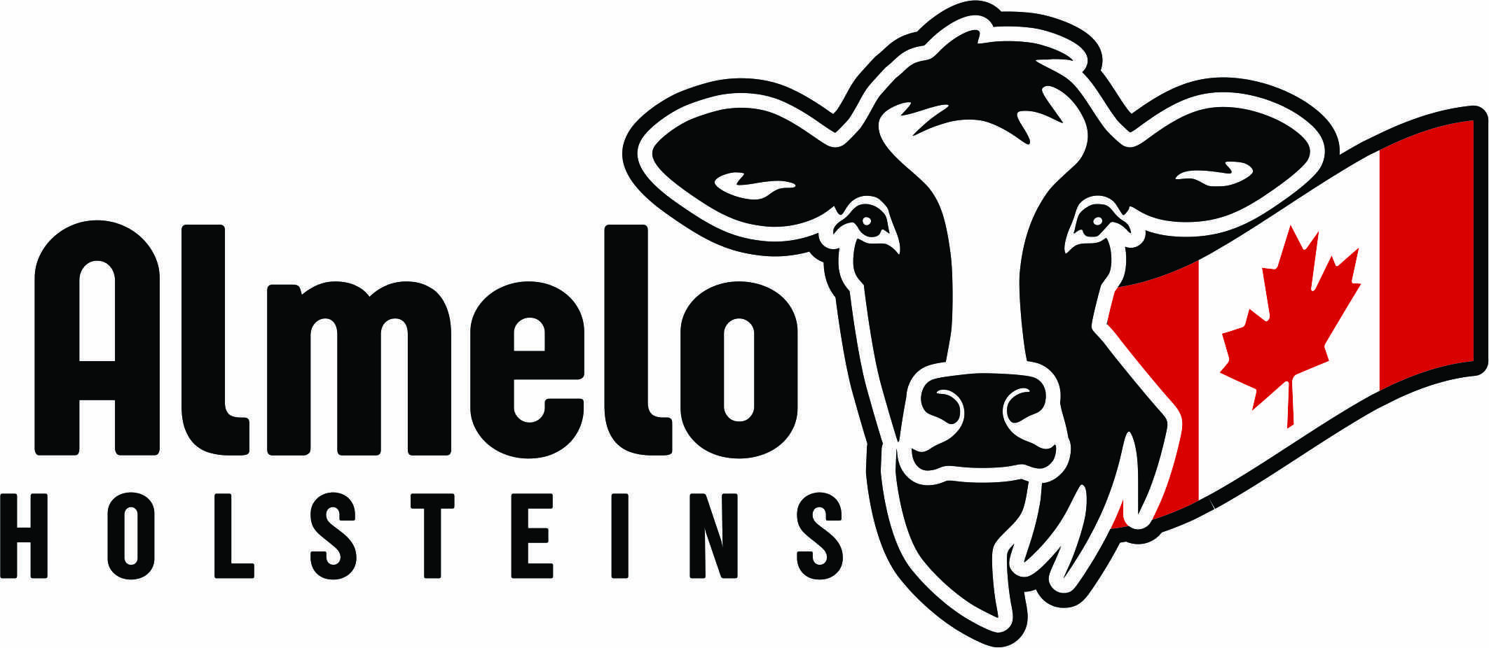 Almelo Holsteins